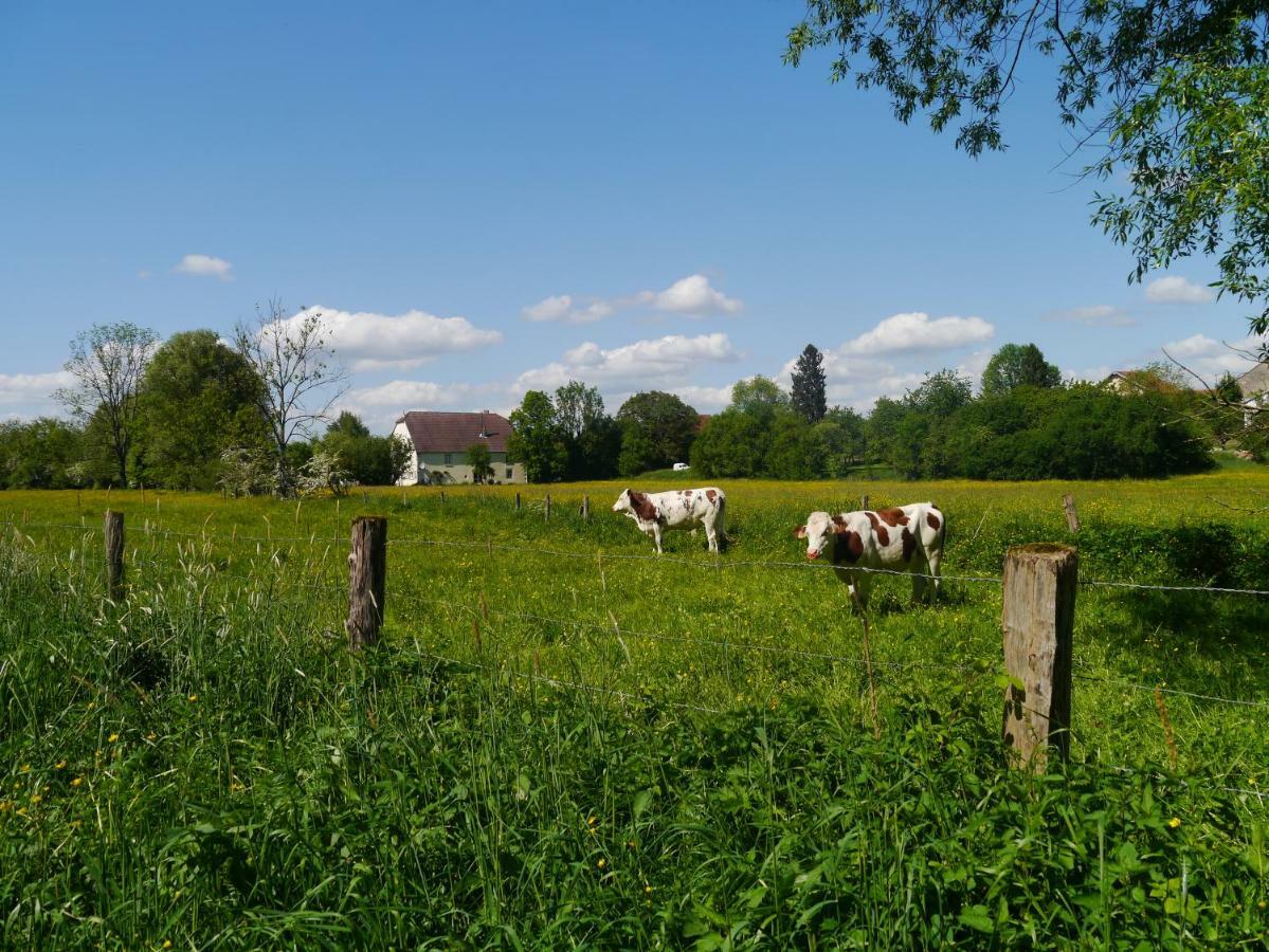 La Maison Au Vert Melincourt Zewnętrze zdjęcie
